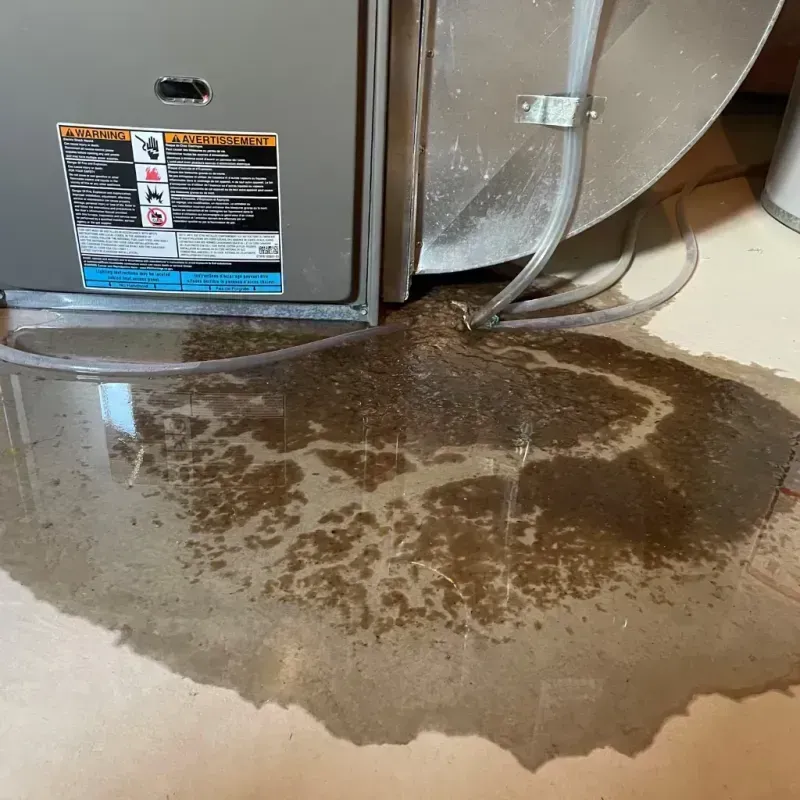 Appliance Leak Cleanup in Harper, KS